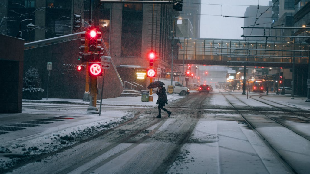На Чехію насувається сильний сніг. Синоптики попередили: може випасти понад 10 см снігу